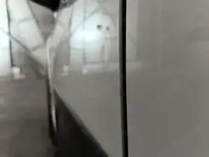  C3 MAX 1.2L PureTech 83 hp (SS) 62 kW (84 PS), Sc... Bild 10