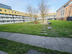 Gartenwohnung zu vermieten Bild 2