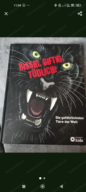 Gefährliche Tiere der Welt  Bild 2