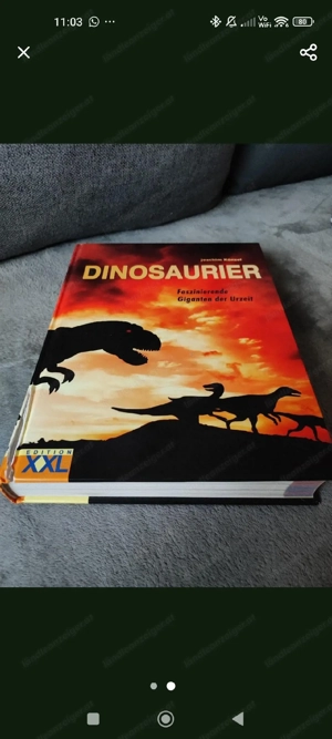 Dinosaurier Buch  Bild 2