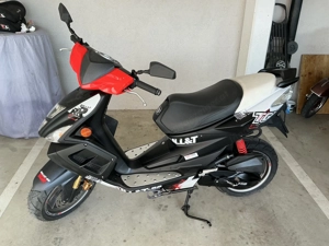 TGB Roller Bull&T 50 Bild 2