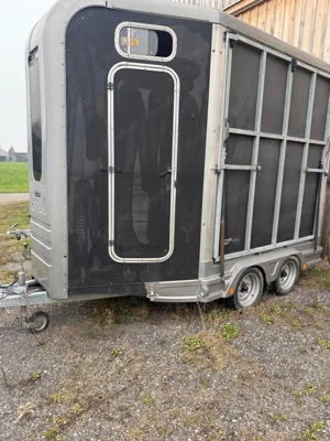 Pferdeanhänger Bild 4