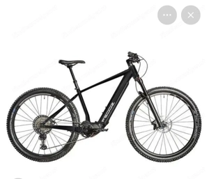 E-Bike Marke Feddz Bild 3