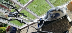 Crosstrainer zum verschenken Bild 5