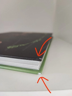 Der Zauberer von Oz (Schmuckausgabe) Bild 6