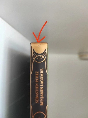 Der Zauberer von Oz (Schmuckausgabe) Bild 5