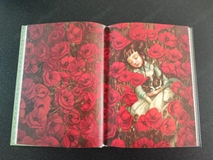 Der Zauberer von Oz (Schmuckausgabe) Bild 3