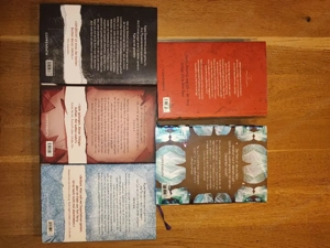 Teri Terry Buchpaket: Slated-Trilogie + 2 weitere Einzelbände (Hardcover) Bild 5