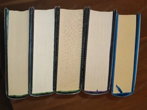 Teri Terry Buchpaket: Slated-Trilogie + 2 weitere Einzelbände (Hardcover) Bild 2