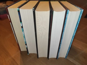 Teri Terry Buchpaket: Slated-Trilogie + 2 weitere Einzelbände (Hardcover) Bild 3