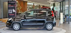 Fiat Panda Bild 4