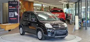 Fiat Panda Bild 3