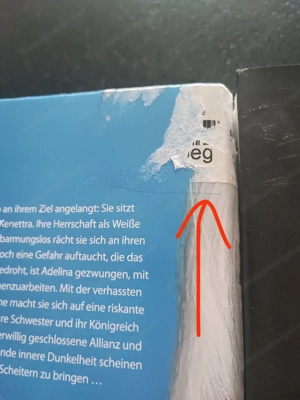 Young Elites Trilogie (Band 1 3) von Marie Lu Bild 5