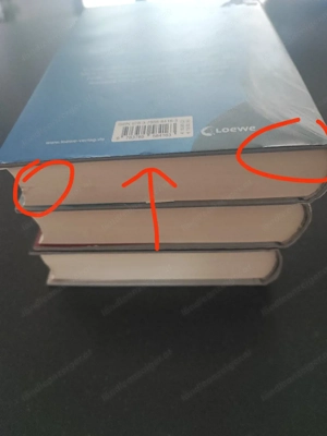 Young Elites Trilogie (Band 1 3) von Marie Lu Bild 4