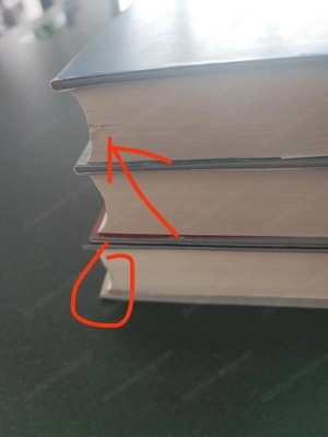 Young Elites Trilogie (Band 1 3) von Marie Lu Bild 7