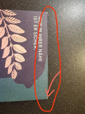    Dark Academia & New Adult Set: Dark Elite & Fighting Fate (NEU & Farbschnitt)    Bild 8