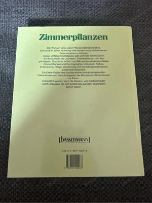 Zimmerpflanzen - Alles über Arten und Pflege Bild 2