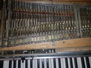 Fender Rhodes Mark I Series 73 Bild 2