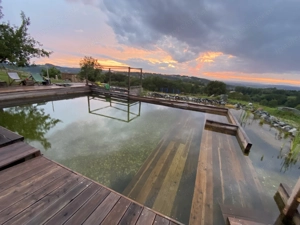 Gästepension mit Alm im Südburgenland  Bild 10