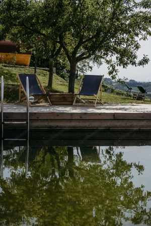 Gästepension mit Alm im Südburgenland  Bild 6