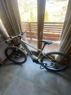 Elektrofahrrad Bild 4