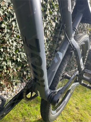 Rose Dirt Bike The Bruce 2  Bild 3