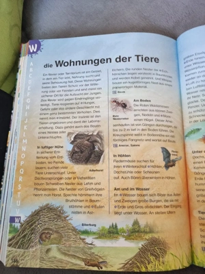 Grundschul Lexikon von A - Z Bild 3