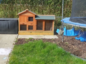 Hasen Stall zu verschenken  Bild 3