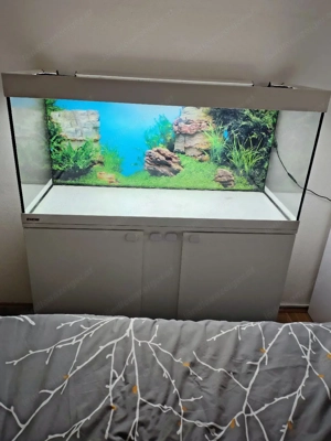 Aquarium 200l Bild 2