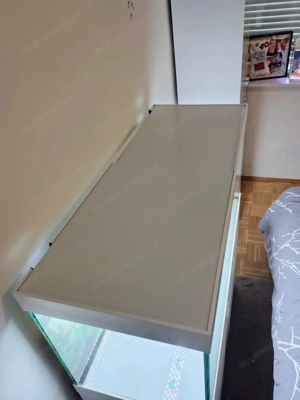 Aquarium 200l Bild 5
