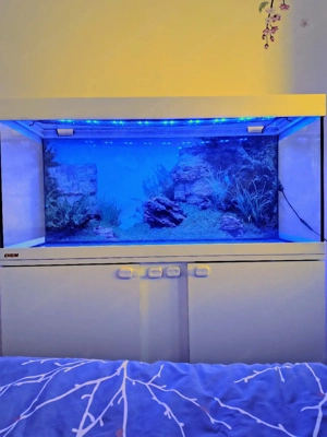 Aquarium 200l Bild 3