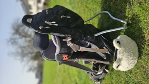 Vaude Kindertrage, Kraxe Bild 2