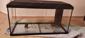 Aquarium von JUWEL  Bild 3