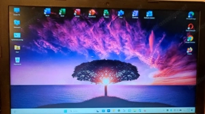 : HP Laptop i5 | 8GB RAM | 256GB | 15,6" FullHD | Windows 11 | Office Bild 2