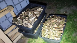 Holzhacker   Häcksler AM-80BD   7PS   bis 80mm   fast neu Bild 4