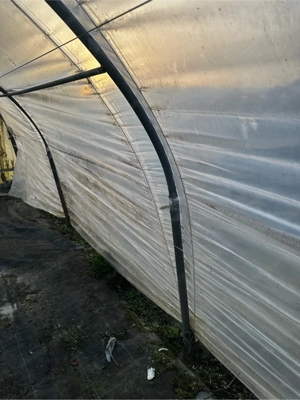Profi-Folientunnel   Gewächshaus 18   5 m (ca. 90 m )   stabile Stahlkonstruktion Bild 2