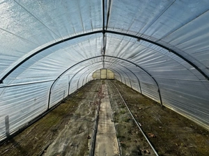 Profi-Folientunnel   Gewächshaus 18   5 m (ca. 90 m )   stabile Stahlkonstruktion Bild 3