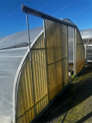 Profi-Folientunnel   Gewächshaus 18   5 m (ca. 90 m )   stabile Stahlkonstruktion Bild 5