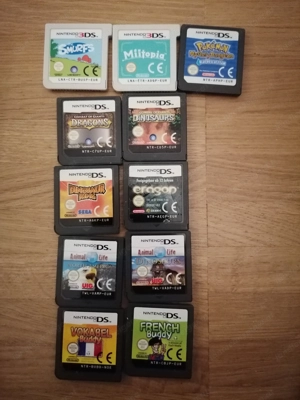 Nintendo DS & 3DS Spiele und Spieleschutzhülle