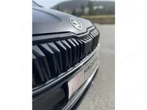 Skoda Karoq Bild 12
