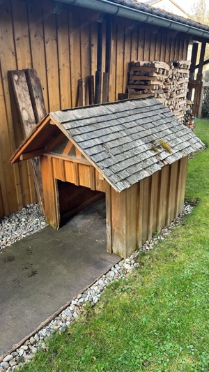 Hundehütte aus massivem Holz   zu verschenken Bild 3