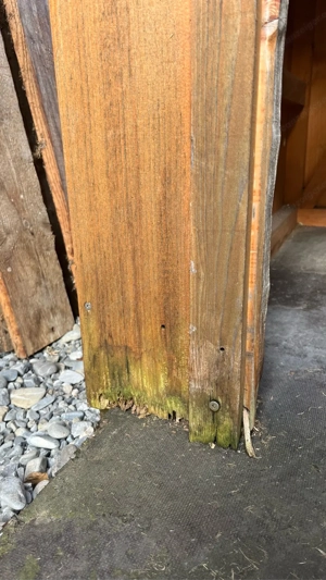 Hundehütte aus massivem Holz   zu verschenken Bild 7