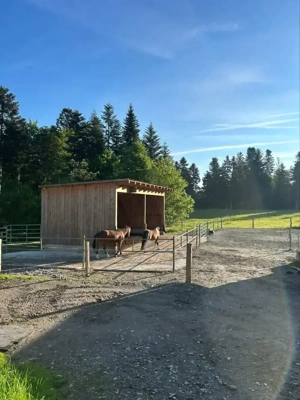 Einstellplatz  Bild 2