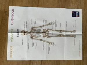 Fachbücher für Krankenpflegeausbildung! Bild 2