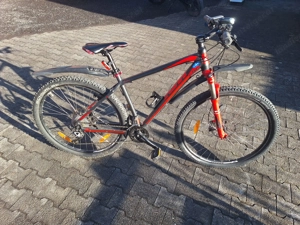 KTM Fahrrad 19" 48cm