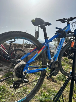 Kinder Mountain Bike Bild 6