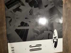 schallplatten für dj