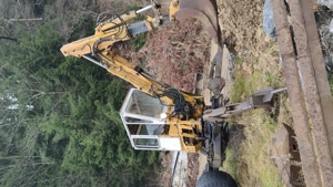 Bagger Menzi Muck Schreitbagger 3000 T1 Bild 3