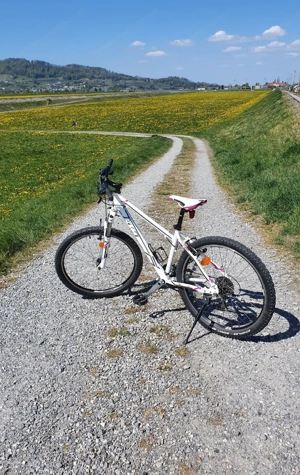 KTM Damen Jugend Bike 