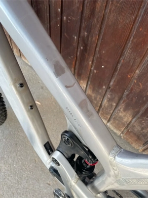 Propain Tyee AL 29  2020 Raw Gr. L Bild 5